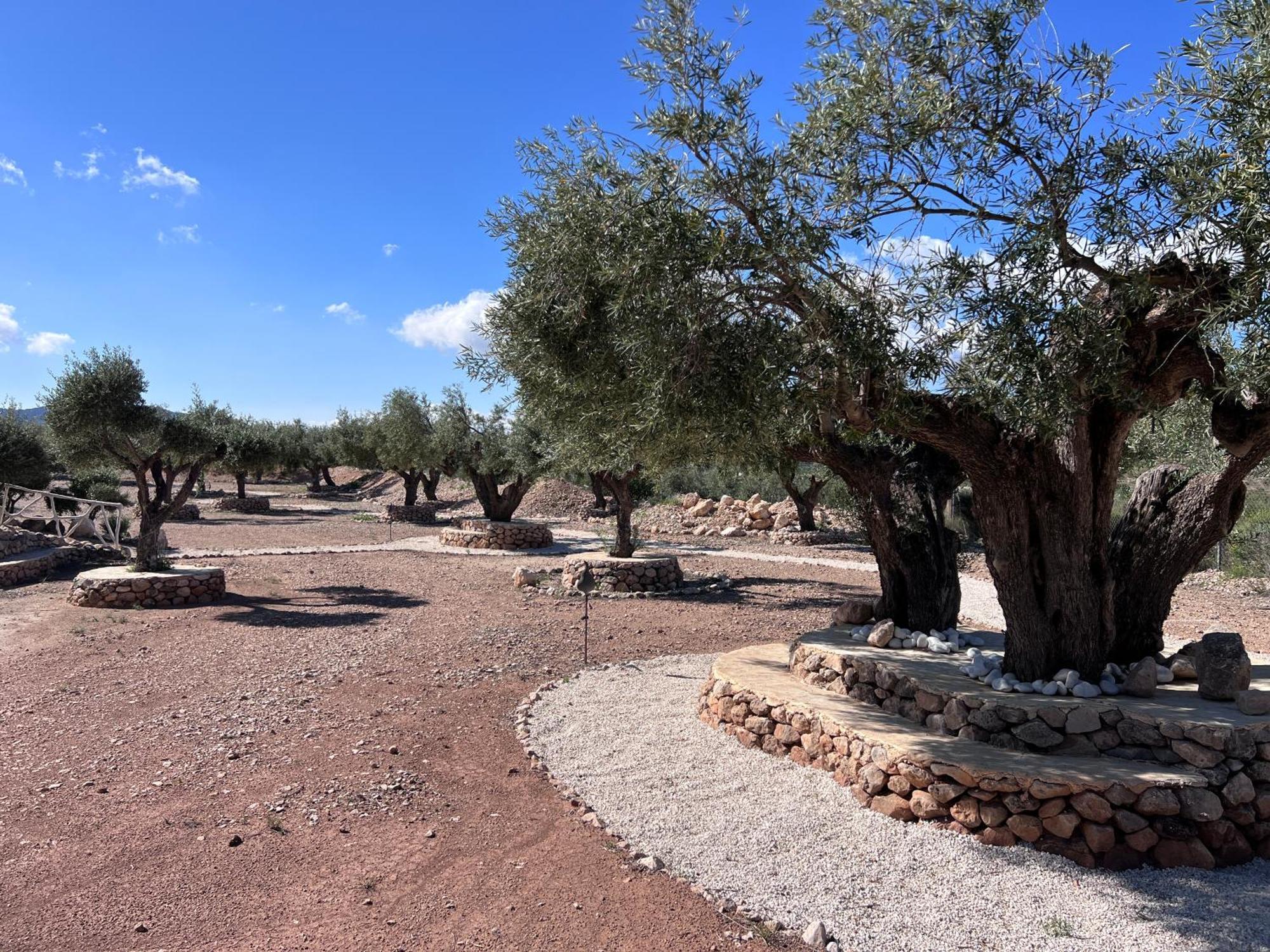 Casa Algezar Villa Hondón de las Nieves Екстериор снимка
